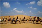 Camels in Inner Mongolia